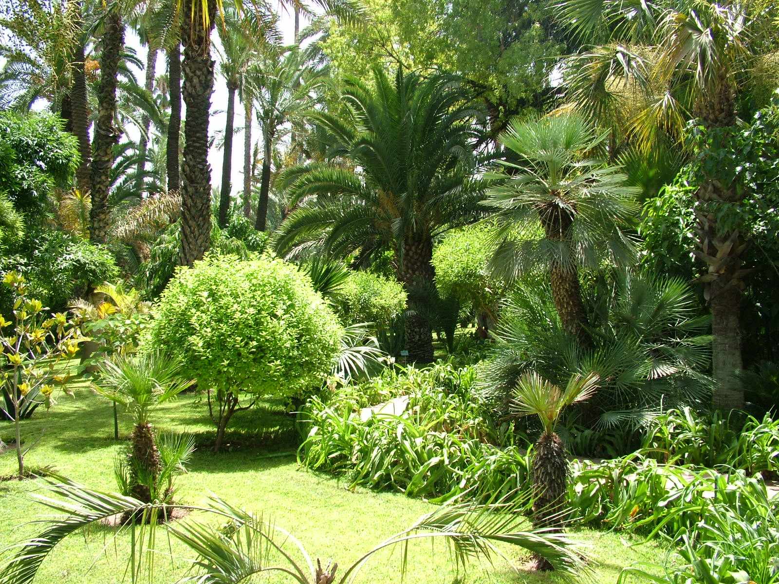 Blog Le jardin Majorelle