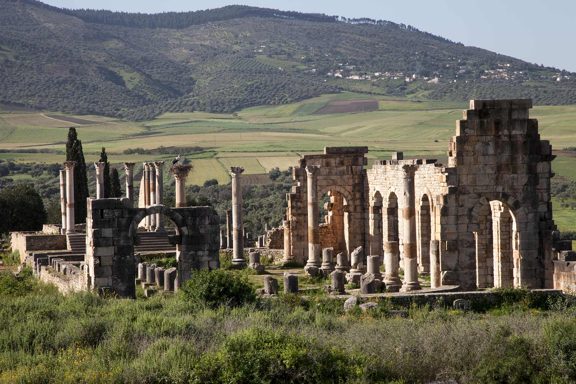 Blog Volubilis