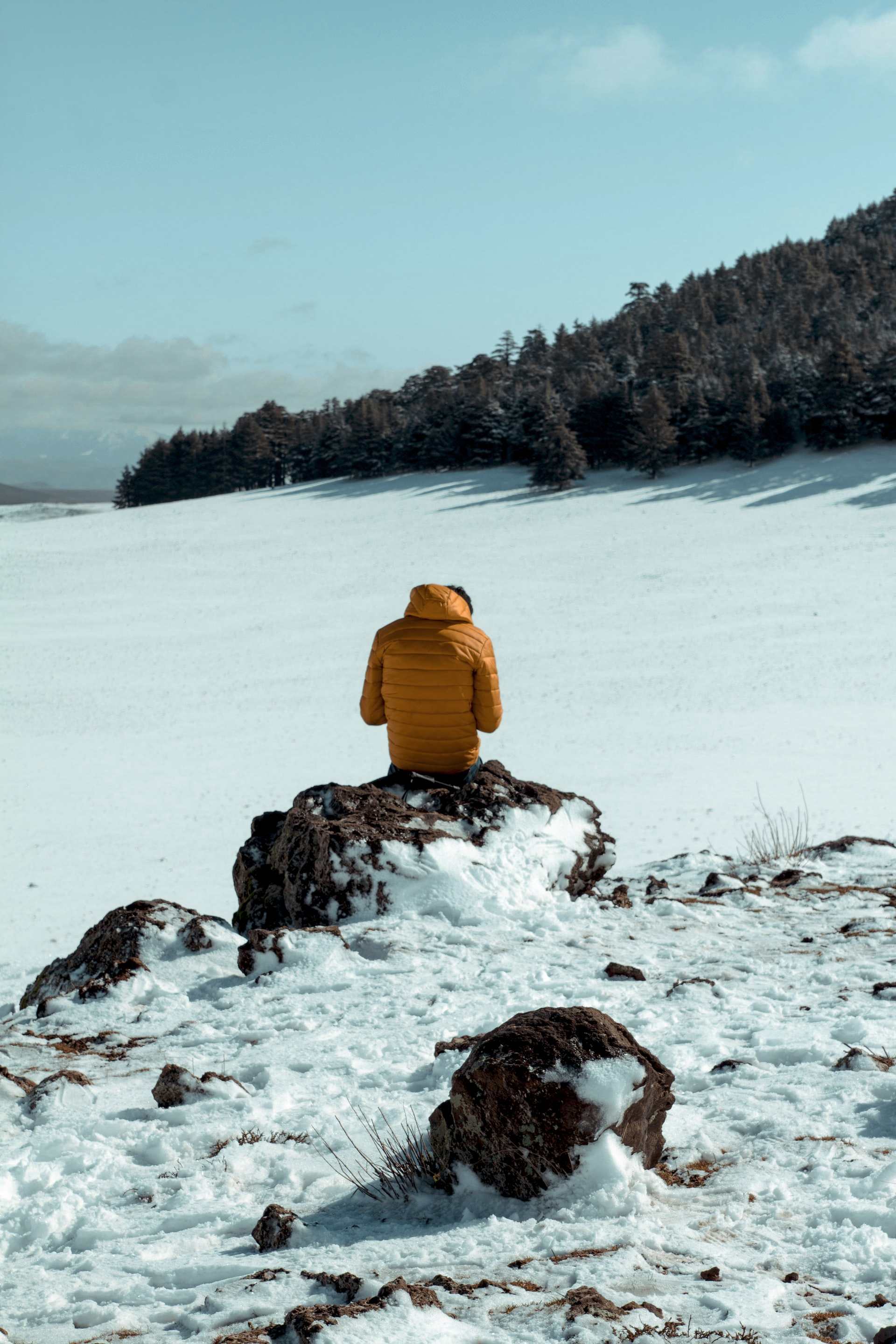 Blog Ifrane Milli Parkı