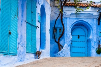 Tangier'den Chefchaouen'e…