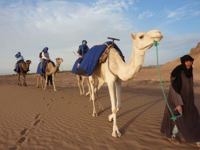 Safari en el desierto…